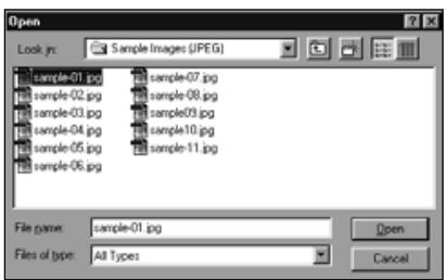 KONICA MINOLTA DIMAGE EX SOFTWARE - With Windows® 95/98/NT - 2