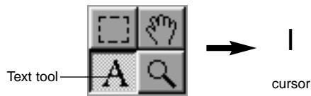 KONICA MINOLTA DIMAGE EX SOFTWARE - Select the text tool from the tool palette. - 1