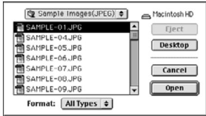 KONICA MINOLTA DIMAGE EX SOFTWARE - Select the image file to be displayed on the image panel from the window. - 2