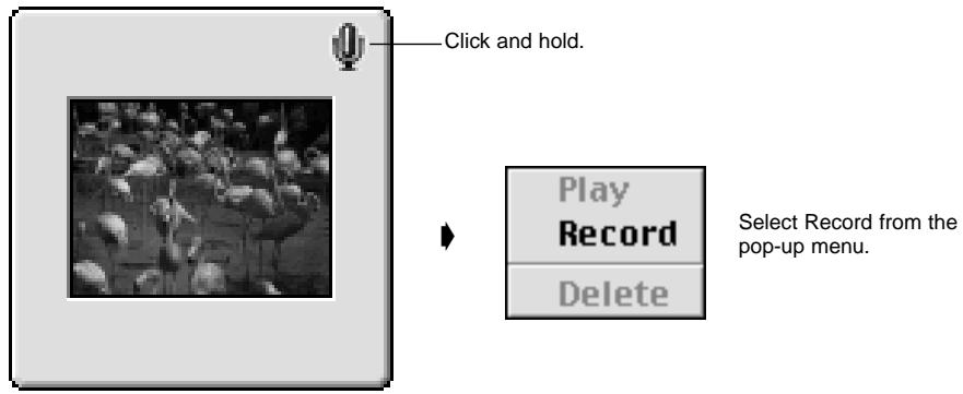 KONICA MINOLTA DIMAGE EX SOFTWARE - Adding Audio to an Image (Macintosh only) - 1