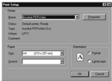 KONICA MINOLTA DIMAGE EX SOFTWARE - Printing Images - 2
