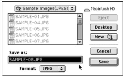 KONICA MINOLTA DIMAGE EX SOFTWARE - Select Save As from the File menu. - 2