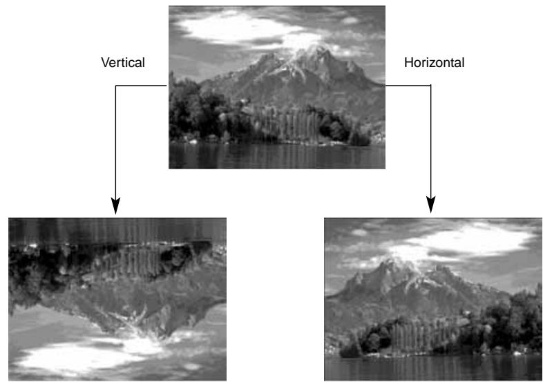 KONICA MINOLTA DIMAGE EX SOFTWARE - Select Flip from the Image menu, then select Horizontal or Vertical as required. - 2