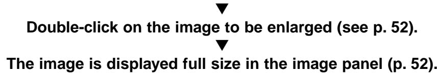KONICA MINOLTA DIMAGE EX SOFTWARE - Functions of the folder panel - 1