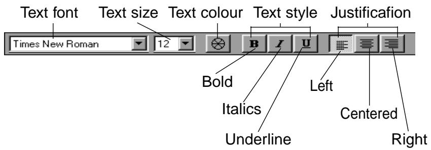 KONICA MINOLTA DIMAGE EX SOFTWARE - When all the text has been entered, click outside the box. - 3