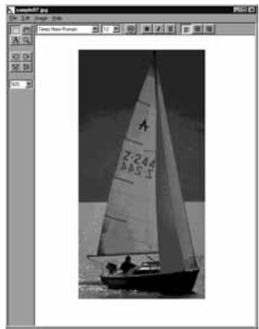 KONICA MINOLTA DIMAGE EX SOFTWARE - Click on the selection tool in the tool palette. - 3