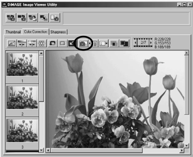 KONICA MINOLTA DIMAGE IMAGE VIEWER UTILITY 1.0 FOR DIMAGE 7&5 - Click the "Snapshot" button. - 1