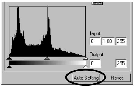 KONICA MINOLTA DIMAGE IMAGE VIEWER UTILITY 1.1 FOR DIMAGE 7&5 - Histogram Correction – Auto Setting: - 3