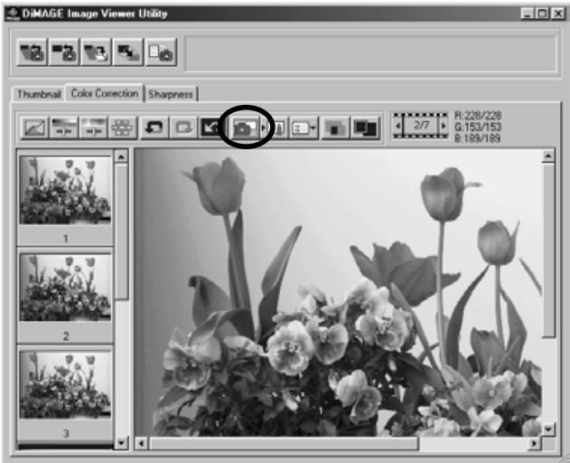 KONICA MINOLTA DIMAGE IMAGE VIEWER UTILITY FOR DIMAGE S304 - Click the "Snapshot" button. - 1