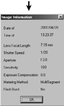 KONICA MINOLTA DIMAGE IMAGE VIEWER UTILITY FOR DIMAGE S304 - To Display the Image (Recording) Information: - 2