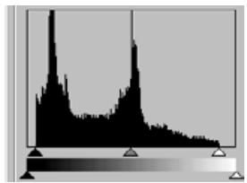 KONICA MINOLTA DIMAGE IMAGE VIEWER UTILITY FOR DIMAGE S304 - Histogram Correction - Auto Setting: - 2