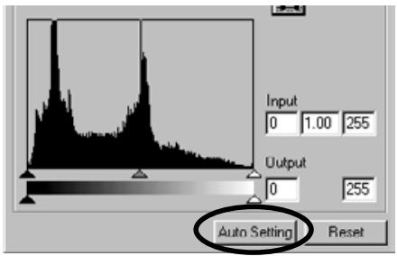 KONICA MINOLTA DIMAGE IMAGE VIEWER UTILITY FOR DIMAGE S304 - Histogram Correction - Auto Setting: - 3