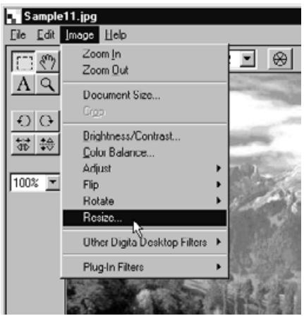 KONICA MINOLTA DIMAGE RD3000 SOFTWARE - On the Image menu, click Resize. - 1