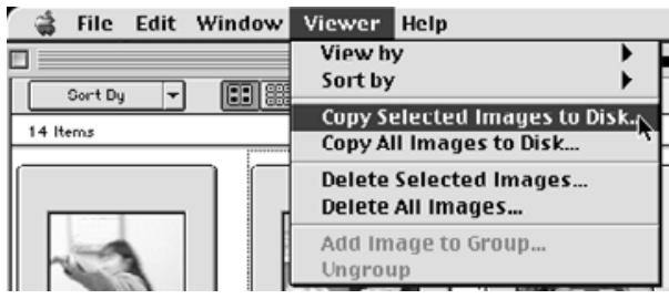 KONICA MINOLTA DIMAGE RD3000 SOFTWARE - Click Viewer menu, and then click Copy Selected Files. - 1