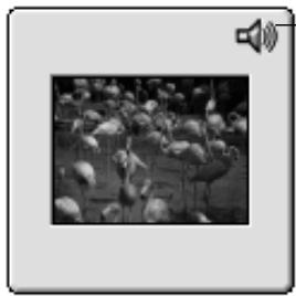 KONICA MINOLTA DIMAGE RD3000 SOFTWARE - Click and hold on the speaker icon. Next, the pop-up menu will open. - 1