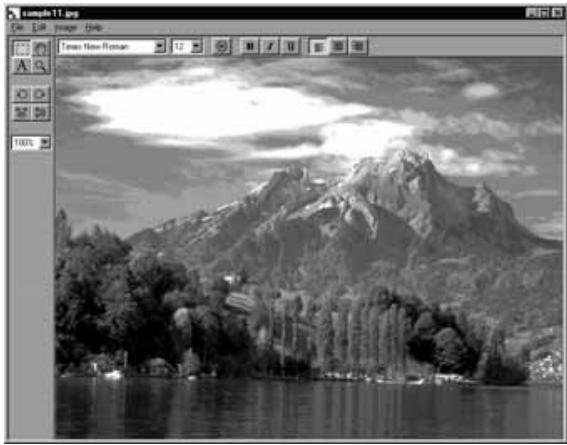 KONICA MINOLTA DIMAGE RD3000 SOFTWARE - Click the image file you wish to view, and then click the Open button. - 3