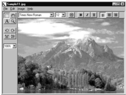 KONICA MINOLTA DIMAGE RD3000 SOFTWARE - On the Image menu, point to Rotate, and select 90^ Left, 90^ Right or 180^ . - 2