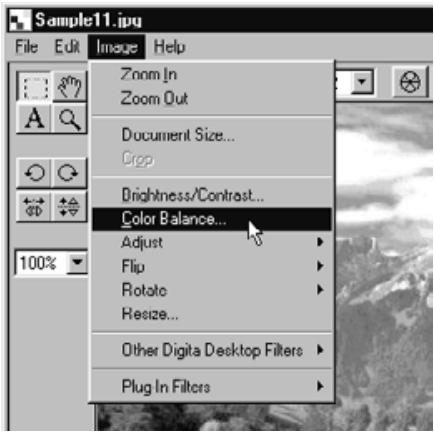 KONICA MINOLTA DIMAGE RD3000 SOFTWARE - On the Image menu, click Colour Balance. - 1