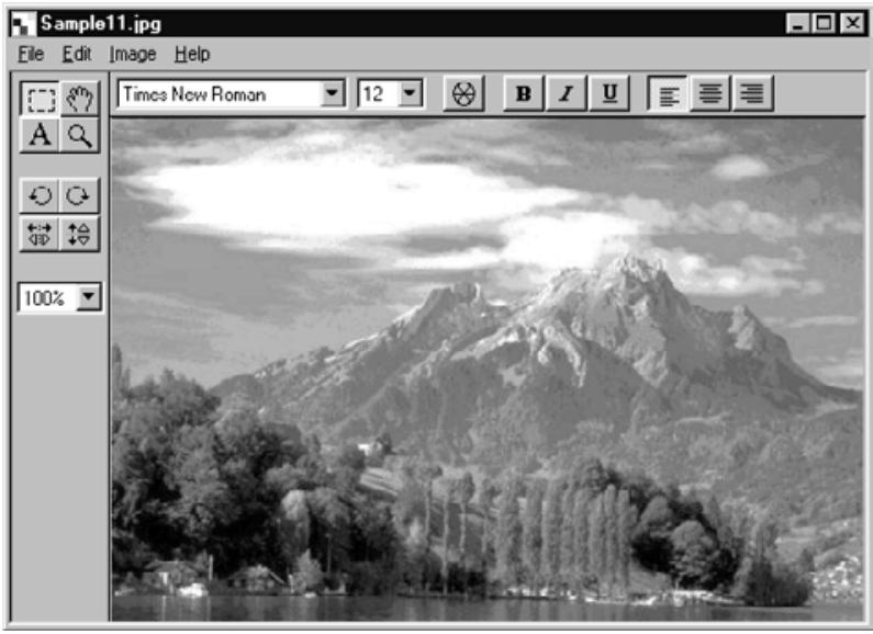 KONICA MINOLTA DIMAGE RD3000 SOFTWARE - Click the Capture button. - 3