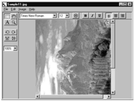 KONICA MINOLTA DIMAGE RD3000 SOFTWARE - On the Image menu, point to Rotate, and select 90^ Left, 90^ Right or 180^ . - 3