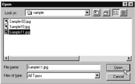 KONICA MINOLTA DIMAGE RD3000 SOFTWARE - On the Slideshow menu, click Add Slide. - 1