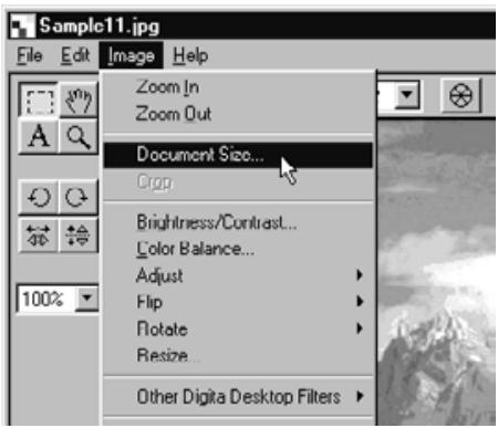 KONICA MINOLTA DIMAGE RD3000 SOFTWARE - On the Image menu, click Document Size. - 1