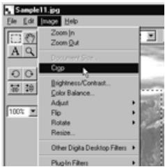 KONICA MINOLTA DIMAGE RD3000 SOFTWARE - On the Image menu, click Cut. - 3