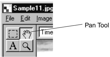 KONICA MINOLTA DIMAGE RD3000 SOFTWARE - Click the Pan Tool on the Tool Pallet. - 1