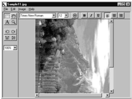KONICA MINOLTA DIMAGE RD3000 SOFTWARE - On the Image menu, point to Rotate, and select 90^ Left, 90^ Right or 180^ . - 4