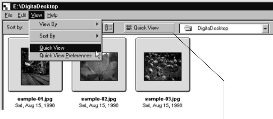 KONICA MINOLTA DIMAGE RD3000 SOFTWARE - USING QUICK VIEW - 1