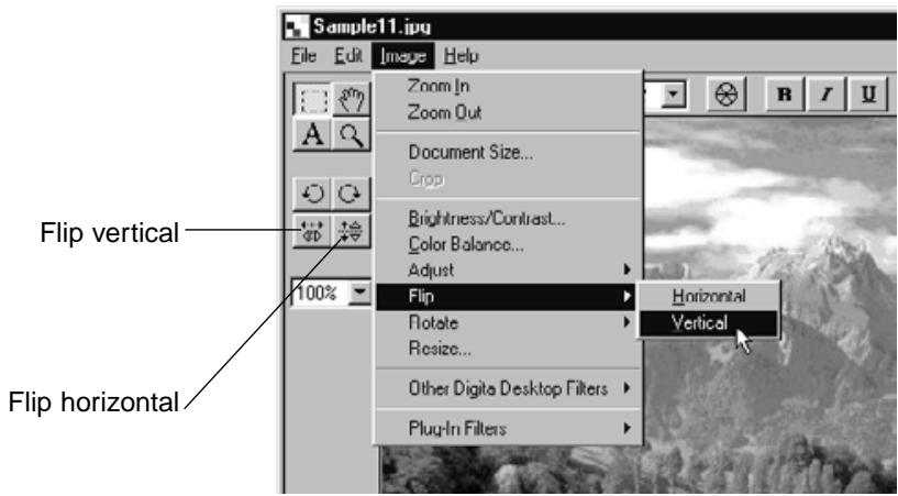 KONICA MINOLTA DIMAGE RD3000 SOFTWARE - On the Image menu, point to Flip, and select either Horizontal or Vertical. - 1