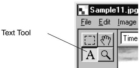 KONICA MINOLTA DIMAGE RD3000 SOFTWARE - Click the Text Tool button on the Tool Palette. - 1