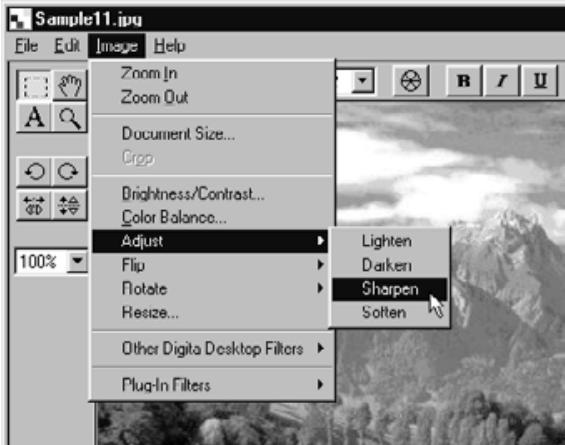 KONICA MINOLTA DIMAGE RD3000 SOFTWARE - On the Image menu, point to Adjust, and select either Sharpen or Soften from the submenu. - 1