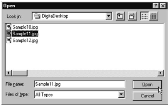 KONICA MINOLTA DIMAGE RD3000 SOFTWARE - Click the image file you wish to view, and then click the Open button. - 1