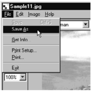 KONICA MINOLTA DIMAGE RD3000 SOFTWARE - On the File menu, click Save As. - 1