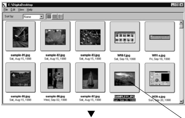 KONICA MINOLTA DIMAGE RD3000 SOFTWARE - DISPLAYING CAMERA IMAGES - 1