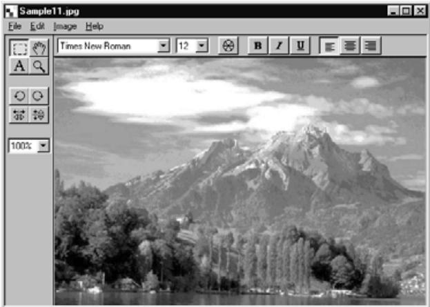 KONICA MINOLTA DIMAGE RD3000 SOFTWARE - Specify a new width and height, and select the desired placement method. Then click the OK button. - 2