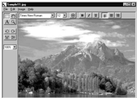 KONICA MINOLTA DIMAGE RD3000 SOFTWARE - On the Image menu, click Cut. - 1