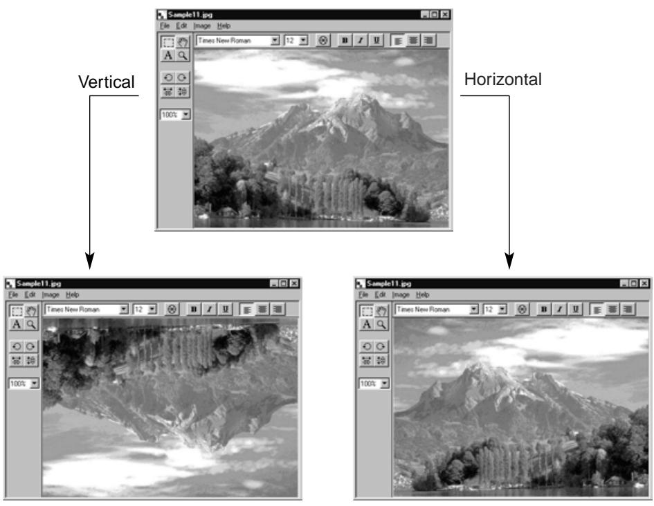 KONICA MINOLTA DIMAGE RD3000 SOFTWARE - On the Image menu, point to Flip, and select either Horizontal or Vertical. - 2