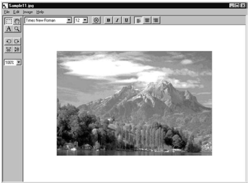 KONICA MINOLTA DIMAGE RD3000 SOFTWARE - Specify a new width and height, and select the desired placement method. Then click the OK button. - 3