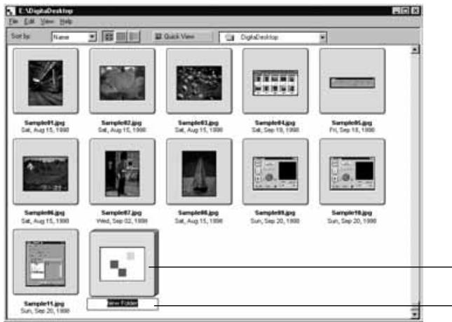 KONICA MINOLTA DIMAGE RD3000 SOFTWARE - FOR WINDOWS® 95/98/NT - 2