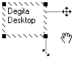 KONICA MINOLTA DIMAGE RD3000 SOFTWARE - Click anywhere outside the text box. - 2