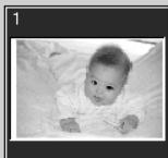 KONICA MINOLTA DIMAGE SCAN 1.1 - Selecting index thumbnails - 1
