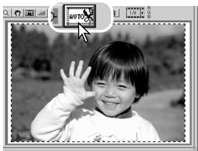 KONICA MINOLTA DIMAGE SCAN 1.1 - CHP button (APS film) - 1