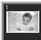 KONICA MINOLTA DIMAGE SCAN 1.1 - Reverse frame order - 1