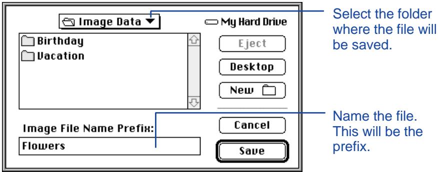 KONICA MINOLTA DIMAGE V SOFTWARE-MAC - COPYING ALL IMAGES - 2