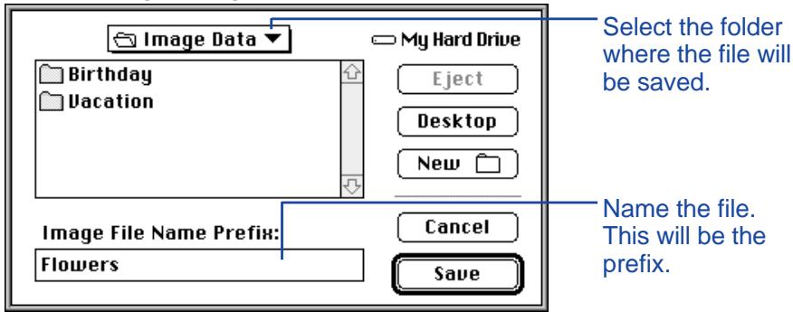 KONICA MINOLTA DIMAGE V SOFTWARE-MAC - COPYING SELECTED IMAGES - 2