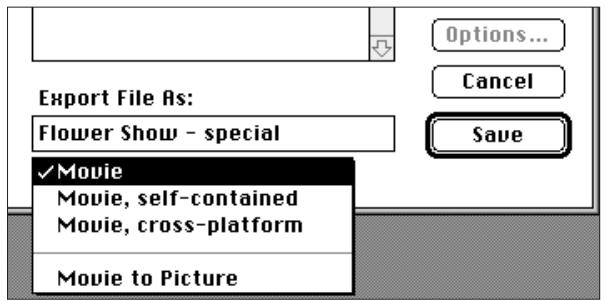 KONICA MINOLTA DIMAGE V SOFTWARE-MAC - CHANGING THE MOVIE FILE FORMAT - 2