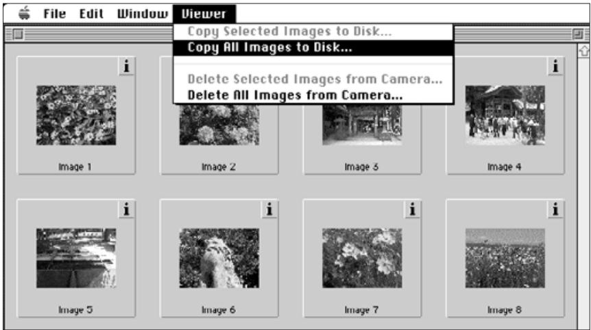 KONICA MINOLTA DIMAGE V SOFTWARE-MAC - COPYING ALL IMAGES - 1