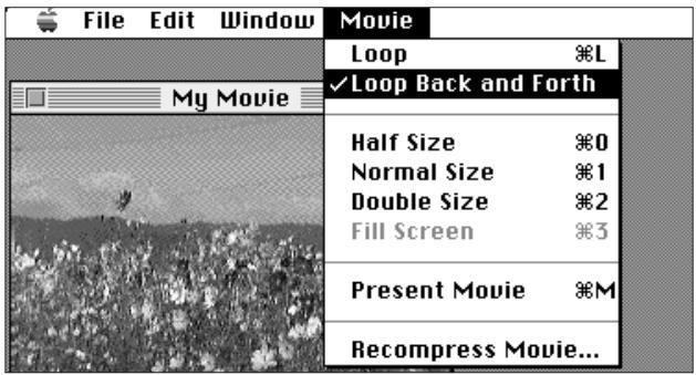 KONICA MINOLTA DIMAGE V SOFTWARE-MAC - PLAYBACK MODES - 1